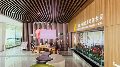 云南新子路職業(yè)培訓(xùn)學(xué)校 榮獲第二批職業(yè)技能等級認定資格，深化應(yīng)用與技術(shù)服務(wù)新篇章